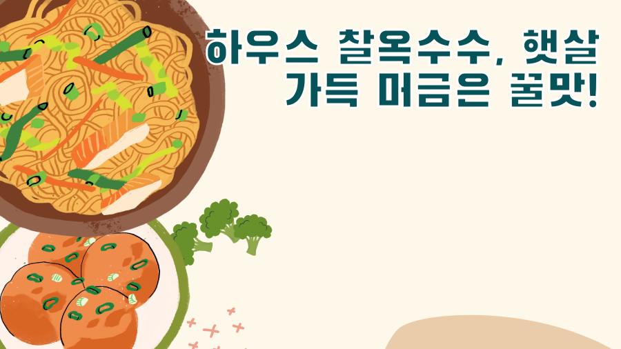 하우스 찰옥수수, 햇살 가득 머금은 꿀맛!
